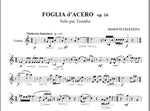 Foglia d'acero per tromba